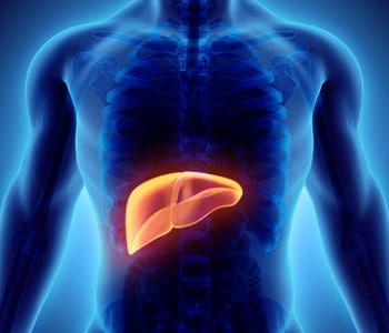 X-ray diagram showing liver